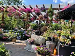 -大隐花事(熊婆婆的花园店)