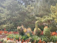 -文瀛公园