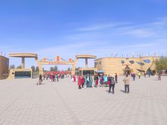 -金塔沙漠胡杨林景区