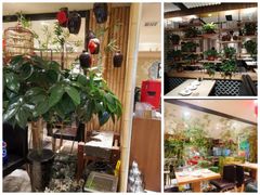 -六泰居·尔滨地标·东北菜(泰山路店)