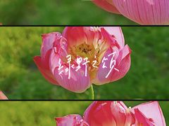 -北海公园