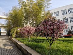 -苏州城市学院