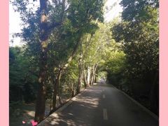 -两河城市森林公园