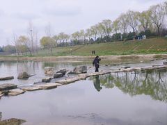 -洨河生态公园
