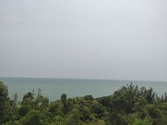 -广东惠东海龟国家级自然保护区