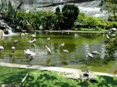 -吉隆坡雀鸟公园