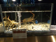 -璞御·海鲜·雪花牛肉局(宾水西道店)