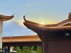 -深圳仙湖植物园