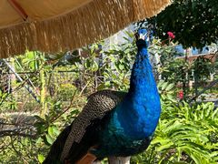 -珠海海泉湾神秘岛亲子乐园