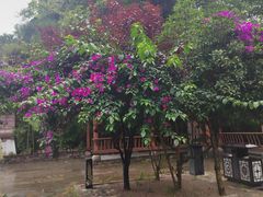 -高荡千年布依古寨旅游景区