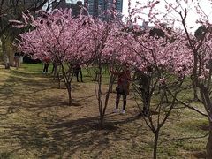 -宝鸡植物园