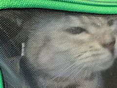 -萌兽医馆·犬猫专科·眼科中心·宠物医院(朝阳门分院)