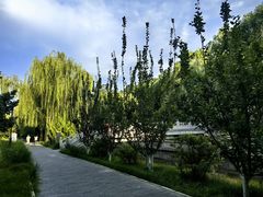 -元大都城垣遗址公园