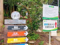 -芦仙山景区-飞越丛林探险乐园