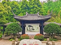 -重庆园博园