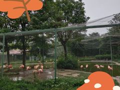 -石家庄市动物园