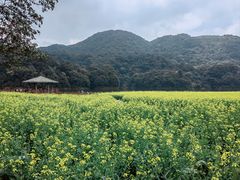 -广州市石门国家森林公园