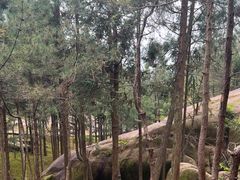 -玉苍山国家森林公园