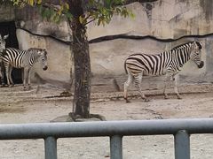 -重庆动物园·东二门售票处