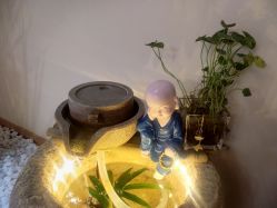 -颜和骨正·明哲式骨相美学整骨