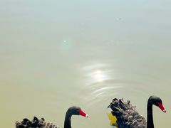 -宁波杭州湾国家湿地公园