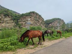 -白河湾生态旅游一条川