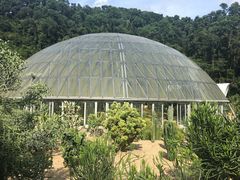 -深圳仙湖植物园-停车场