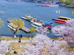 -南京城墙景区