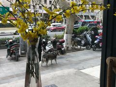 -囿面传统制面馆(中央路店)