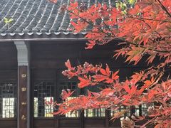 -上海市保健医疗中心