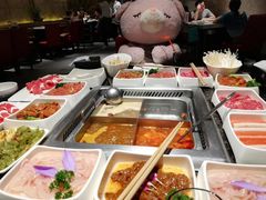 -海底捞火锅(龙岗星河COCO Park店)