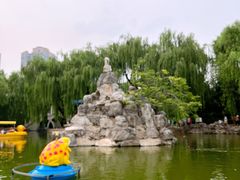 -团结湖公园