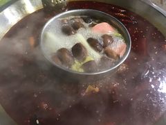 -星鸿社重庆老火锅