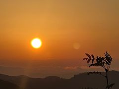 -武陵山森林公园