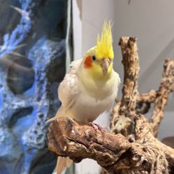 -Zoolung Zoolung动物主题公园(海信广场店)