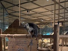 -绿色星球动物主题公园