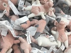 -宜家家居(哈尔滨商场店)