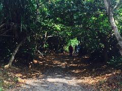 -龙坑生态保护区