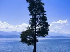 -大理洱海