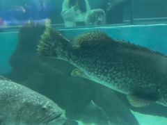 -苏州海洋馆