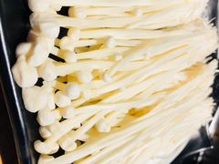 -川成串·自助串串香火锅(朝阳店)