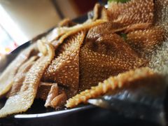 -销魂美蛙鱼头火锅(上海首店)