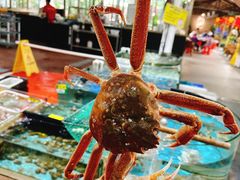 -绿雅居原生态农庄(小涌店)