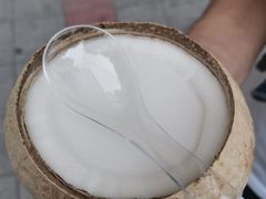-椰爺爺·椰子冻砵仔糕