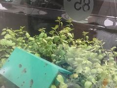 -85度C(深圳佳宁娜店)