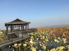 -漕湖湿地公园