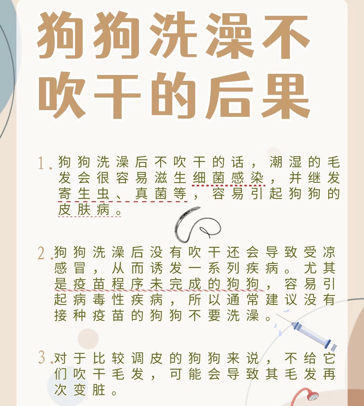 狗狗洗澡未吹干会造成什么后果呢?