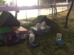 -枫花园汽车电影院(朝阳公园店)