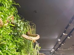 -Seesaw Coffee(环贸iapm店)