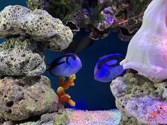 -上海海昌海洋公园